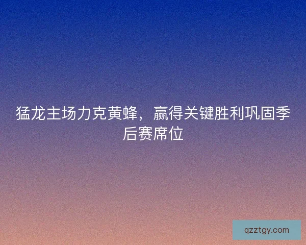 猛龙主场力克黄蜂，赢得关键胜利巩固季后赛席位